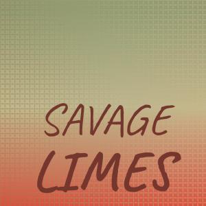 Various的专辑Savage Limes