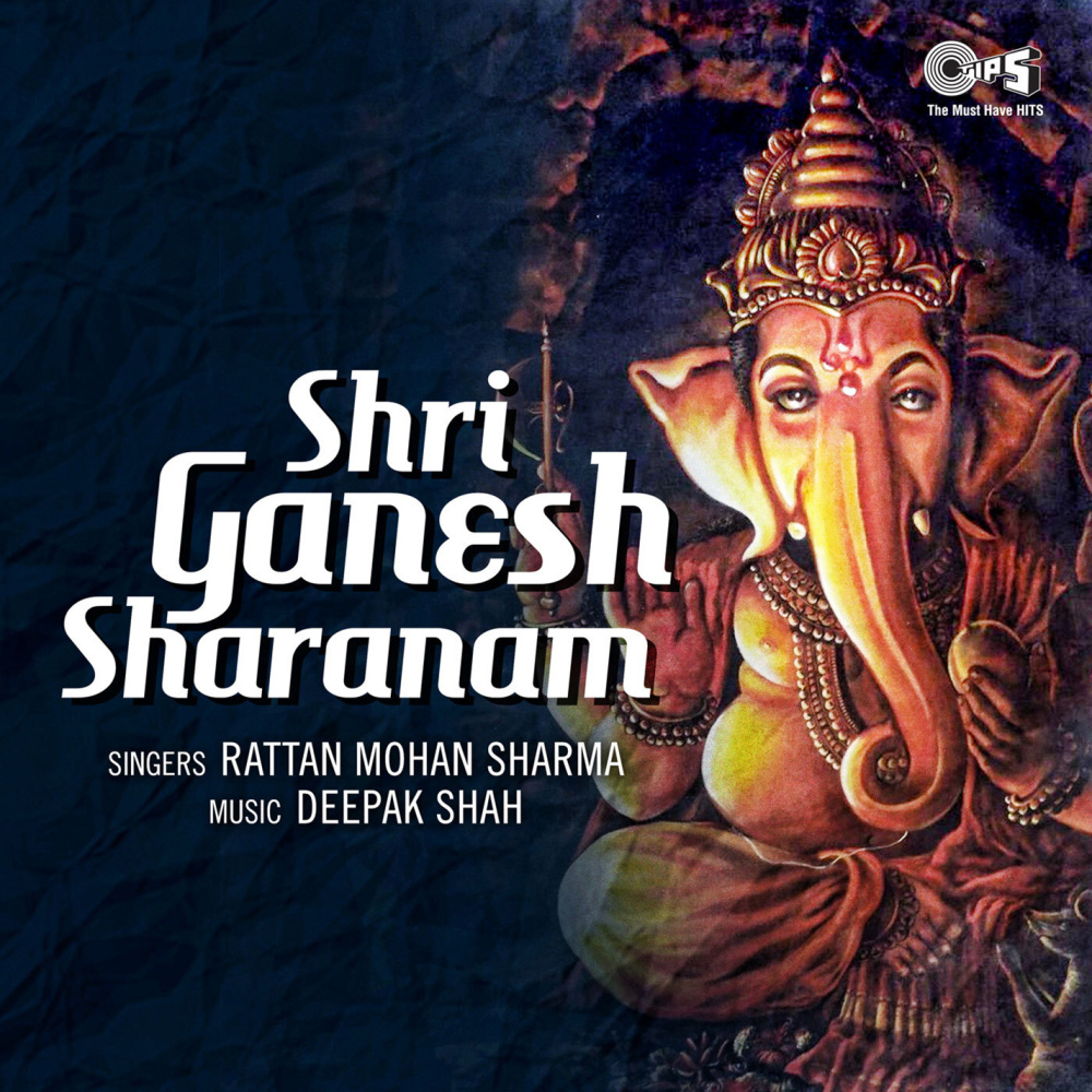 Shree Ganesh Sharanam, Pt. 2