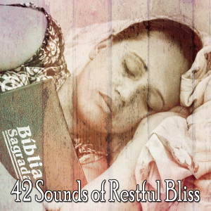 Listen to Harmonious Bedroom song with lyrics from SPA