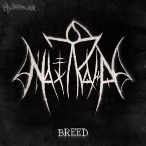 ดาวน์โหลดและฟังเพลง Breed พร้อมเนื้อเพลงจาก Noxtromo