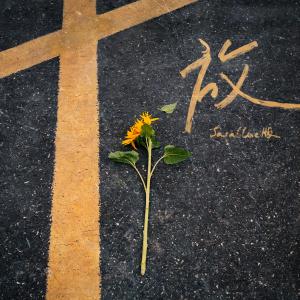 Album 放 (Sasablue版) from Sasablue
