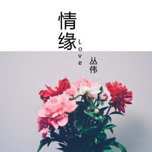 ดาวน์โหลดและฟังเพลง 情缘 พร้อมเนื้อเพลงจาก 丛伟