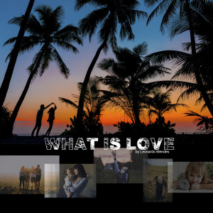 Leonardo Mendes的專輯What Is Love