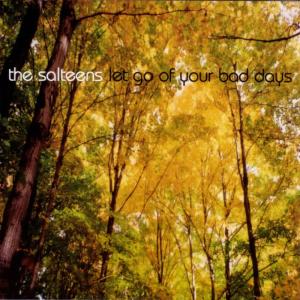 ดาวน์โหลดและฟังเพลง Damn You พร้อมเนื้อเพลงจาก The Salteens