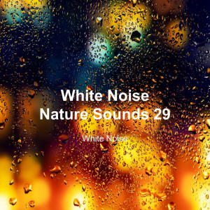 White Noise 29 (Rain Sounds, Bonfire Sound, Baby Sleep, Deep Sleep)