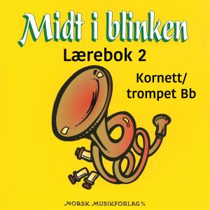 收聽Stein Ivar Mortensen的The rose歌詞歌曲
