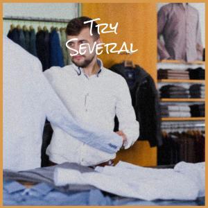 Dengarkan Forcefully lagu dari Hira Suer dengan lirik