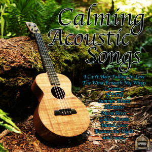 Album Calming Acoustic Songs oleh Acoustic Moods Ensemble