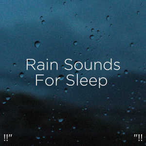 ดาวน์โหลดและฟังเพลง Rain Sounds For Sleep พร้อมเนื้อเพลงจาก Rain Sounds