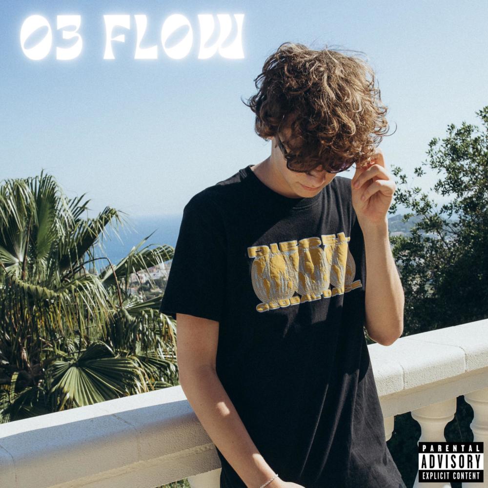 03 Flow (Explicit)