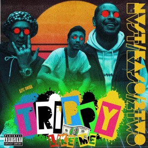 Listen to Trippy Like Me (Explicit) song with lyrics from 2Two