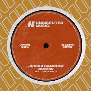 收聽Junior Sanchez的Freedom (feat. Charlie Vox)歌詞歌曲