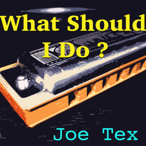 收听Joe Tex的What Should I Do歌词歌曲