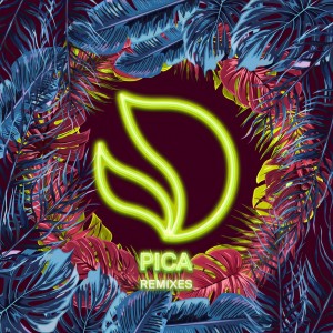 ดาวน์โหลดและฟังเพลง Pica (Cat Dealers Remix) พร้อมเนื้อเพลงจาก Deorro
