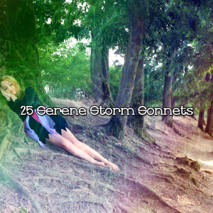 25 Serene Storm Sonnets
