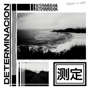 Album Determinación from Fabula