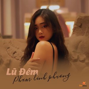 Listen to Lũ Đêm song with lyrics from Phạm Linh Phương