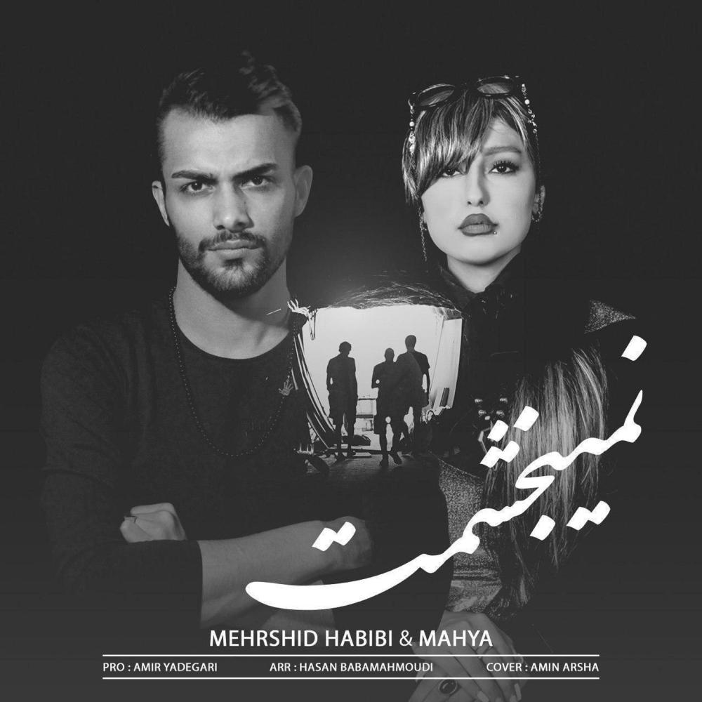 Nemibakhshamet(feat. Mahya)
