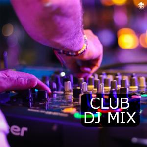 Album Club DJ Mix from Various