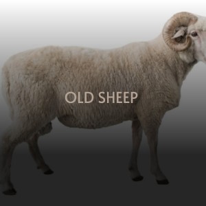 收听The Stanley Brothers的When You Are Lonely歌词歌曲