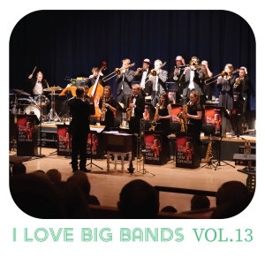 Album I Love Big Bands, Vol. 13 from Various