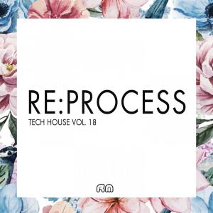 อัลบัม Re:Process - Tech House, Vol. 19 ศิลปิน Various