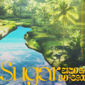 Album Sugar (feat. Eito & Yo-Sea) oleh DJ TATSUKI