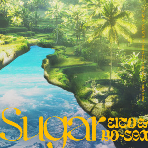 Album Sugar (feat. Eito & Yo-Sea) oleh DJ CHARI