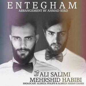 Listen to Entegham(feat. Ali Salimi) song with lyrics from Mehrshid Habibi