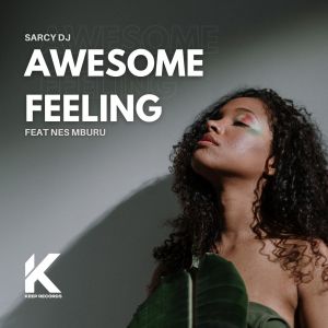 Sarcy Dj的专辑Awesome Feeling