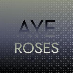 Various的专辑Aye Roses