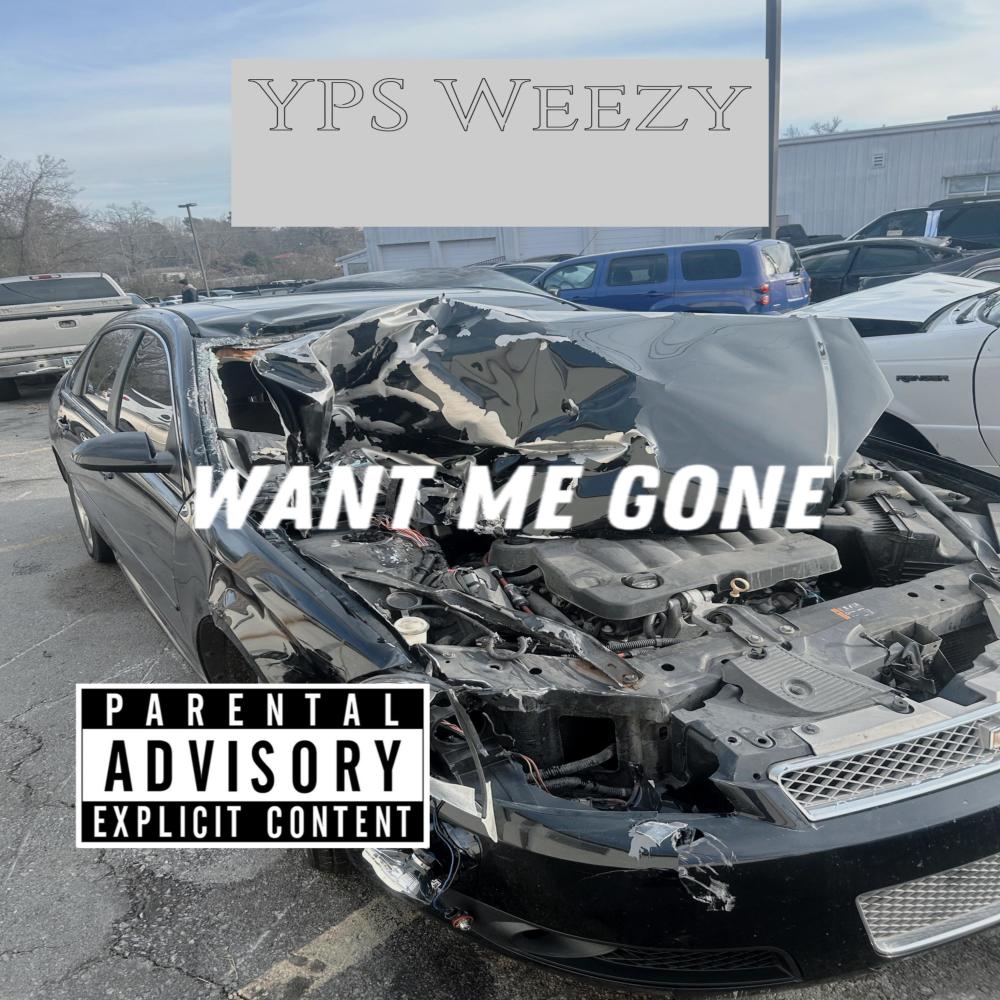 Want Me Gone (Explicit)