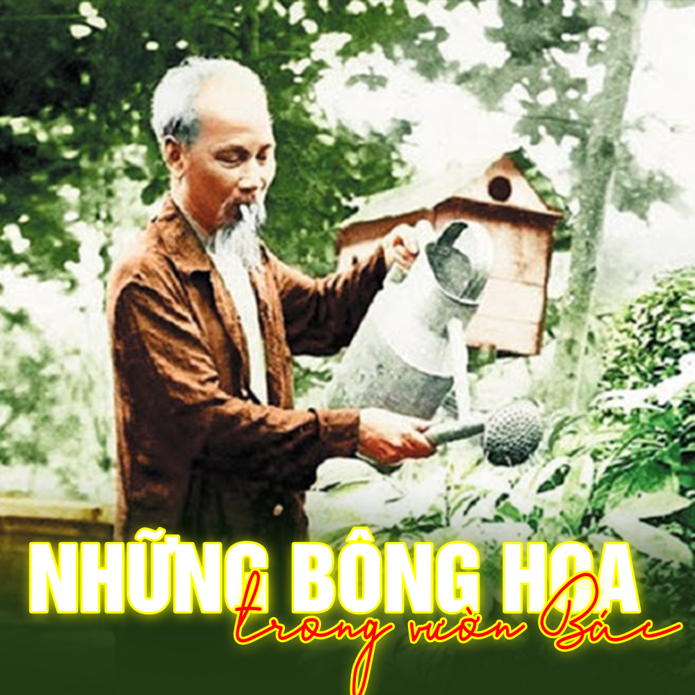 Nhớ mãi Hạ Long