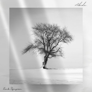 Album Abide from Zack Sympson