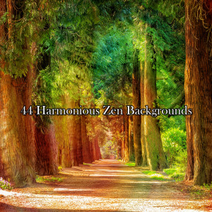 44 Harmonious Zen Backgrounds