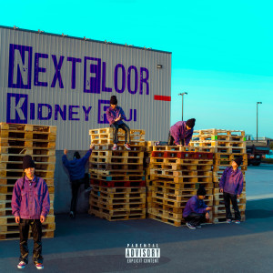 Album Next Floor from Kidney Fuji