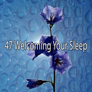 Listen to Restorative Slumber song with lyrics from SPA