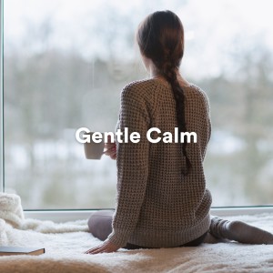 Album Gentle Calm oleh World Music for the New Age