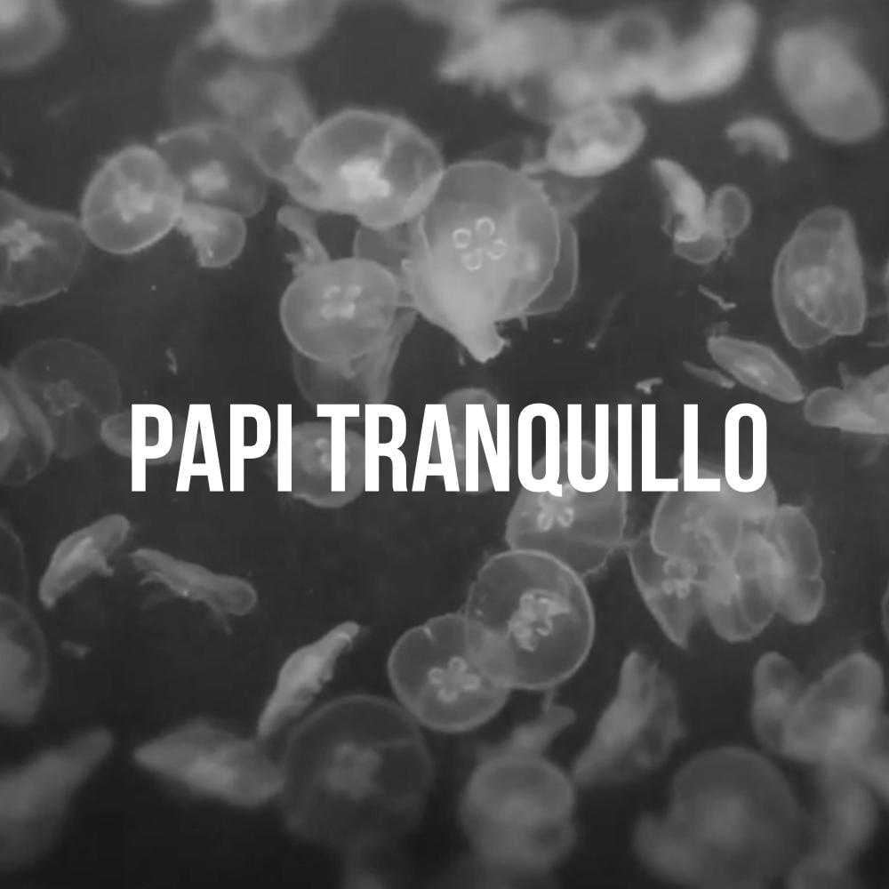 Papi Tranquilo (feat. $IMBA)