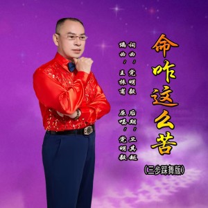 Listen to 命咋这么苦（三步踩舞版） (完整版) song with lyrics from 党明毅