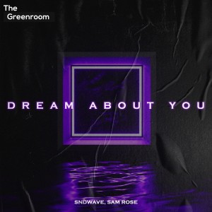 Sndwave的專輯Dream About You