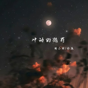 Album 冲动的惩罚 from 虞丽丽