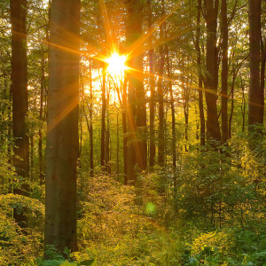 Listen to Tranquil Sleepy Lullaby song with lyrics from Lullaby of Good Dreams