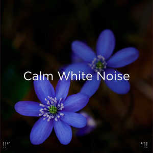 Dengarkan White Noise lagu dari BodyHI dengan lirik