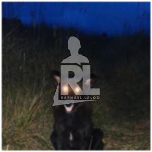 Album LALA (Explicit) from Raphael Laloo