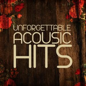 ดาวน์โหลดและฟังเพลง 1234 พร้อมเนื้อเพลงจาก Acoustic Hits