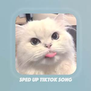 Orinn Sped的專輯Sped up TikTok songs | Sped up Orinn