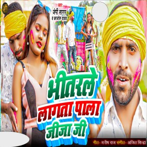 Listen to Bhitare Lagata Pala Jija Ji song with lyrics from Jp Sagar