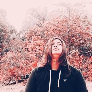Listen to Menggapai Mimpi song with lyrics from puji