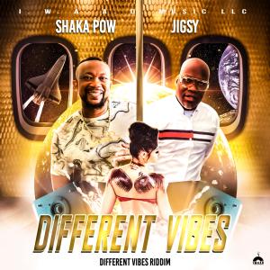 Shaka Pow的專輯Different Vibes (feat. Jigsy)